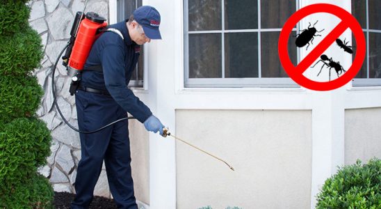 Turgutlu Gümüşkurt İlaçlama böcek ilaçlama ve haşere kontrolü — ilaclama-tr.com